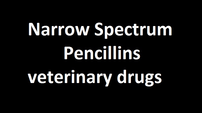 Narrow Spectrum Pencillins Veterinary Drugs