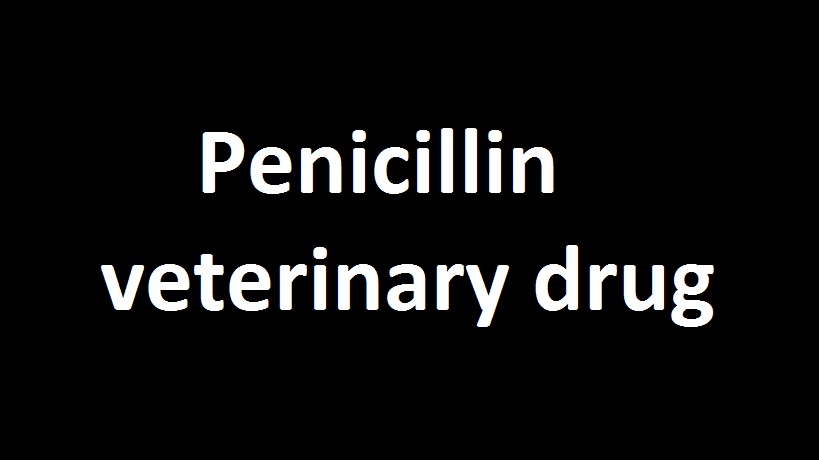 Penicillin Veterinary Drug
