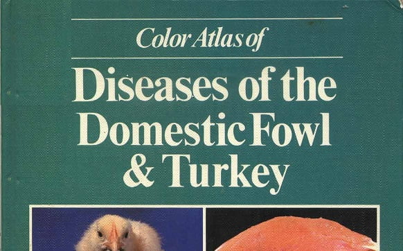 Essentials of Domestic Animal Embryology 1st Edition PDF