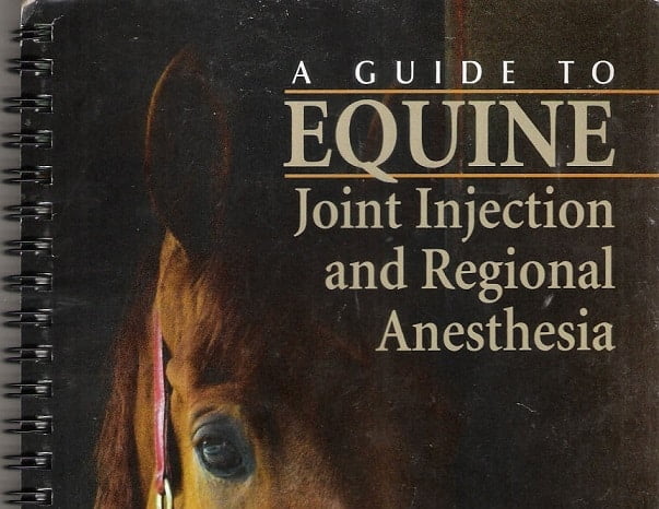 A Guide To Equine Injection And Regional Anesthesia PDF