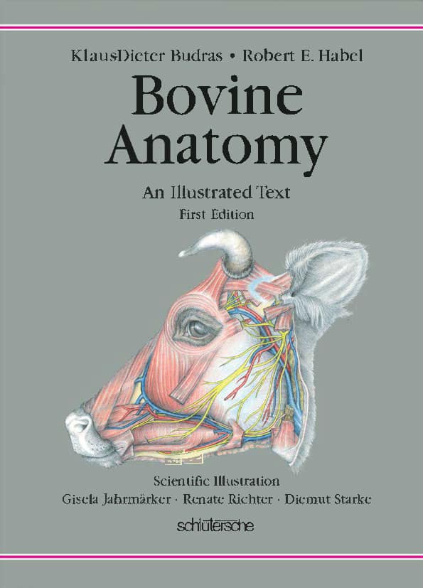 Bovine Anatomy An Illustrated Text First Edition PDF