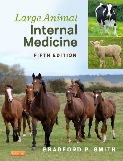 Large Animal Internal Medicine PDF