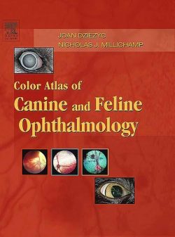 Color Atlas Of Canine And Feline Ophthalmology PDF