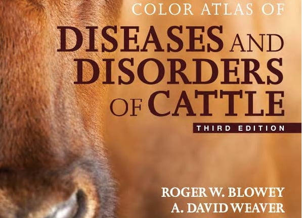 Color Atlas of Diseases and Disorders of the Horse 2nd Edition PDF
