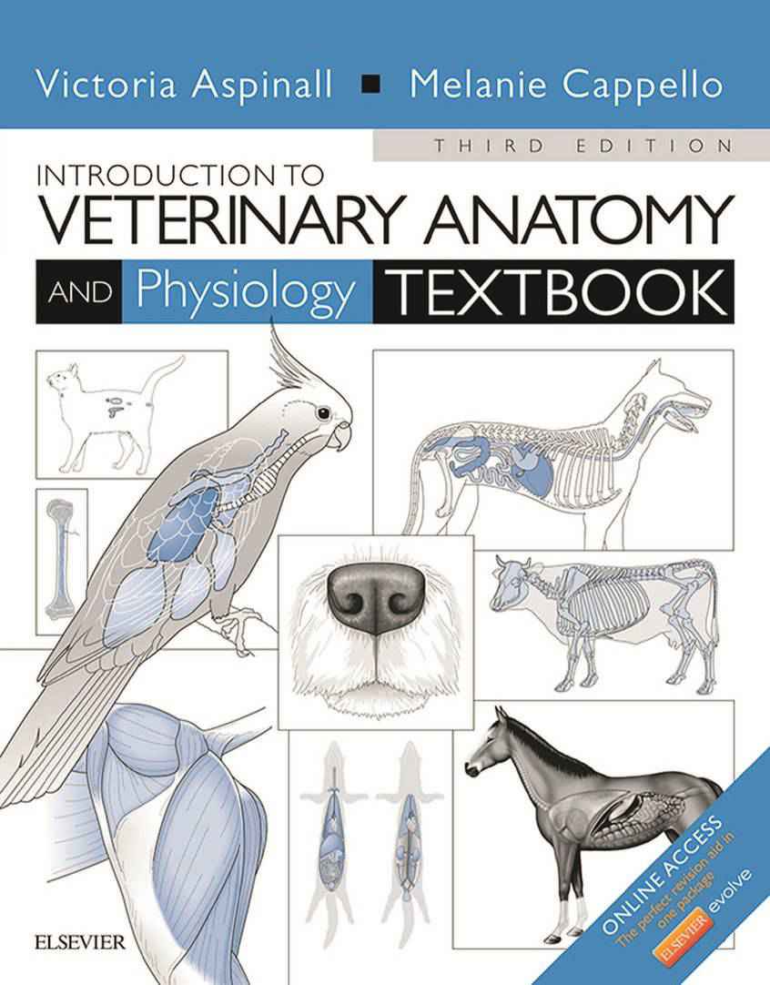 Introduction To Veterinary Anatomy And Physiology Textbook PDF