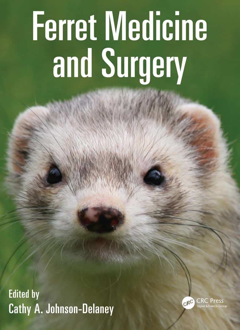 Ferret Medicine And Surgery For The Veterinary Practitioner PDF