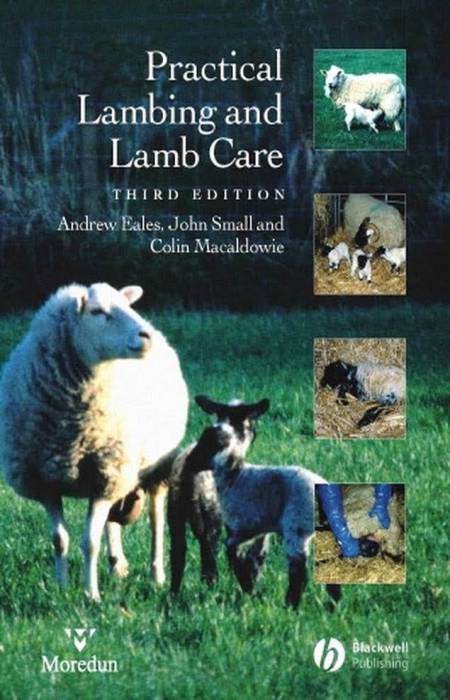 download cult of the lamb beginners guide for free
