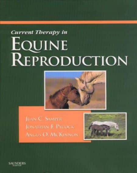 Errors in Veterinary Anesthesia