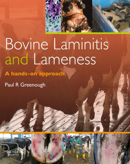 Bovine Laminitis And Lameness A Hands On Approach