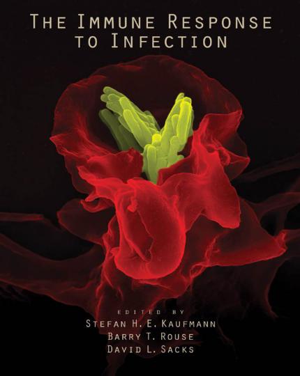 The Immune Response To Infection