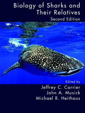Biology Of Sharks And Their Relatives 2nd Edition