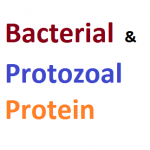 Difference Between Bacterial And Protozoal Protein