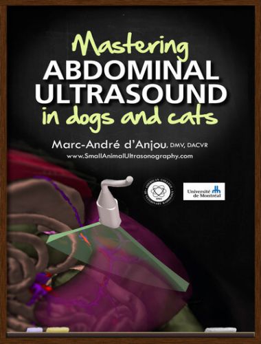 Mastering Abdominal Ultrasound In Dogs And Cats