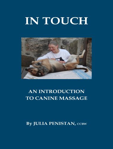 Veterinary Anatomy, The Regional Gross Anatomy of Domestic Animals