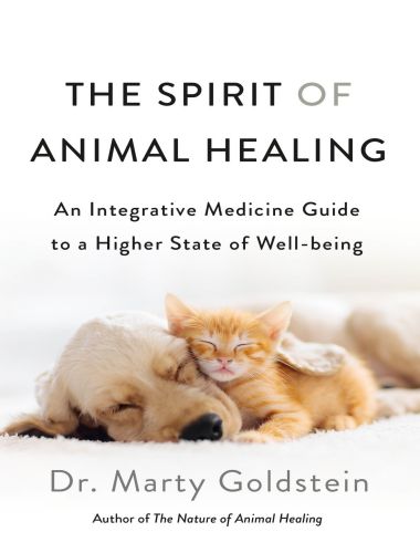 The Spirit of Animal Healing An Integrative Medicine Guide to a Higher State of Well-being