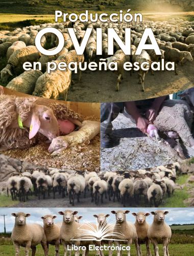 producción ovina en pequeña escala