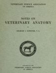 Notes on Veterinary Anatomy
