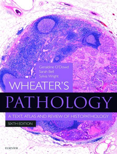 Wheater’s Pathology A Text, Atlas And Review Of Histopathology 6th Edition