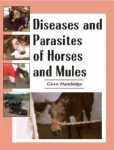 Diseases and Parasites of Horses and Mules PDF