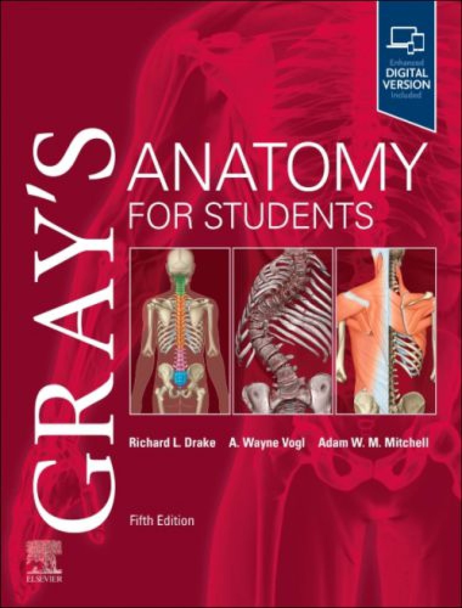 Gray's Anatomy for Students, 5th Edition PDF