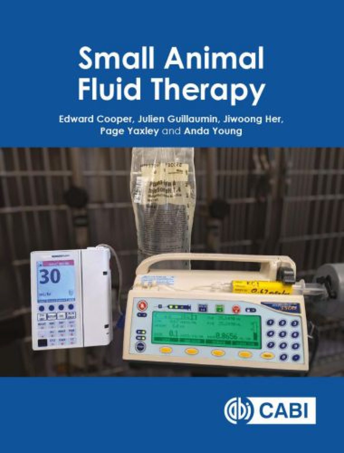 Small Animal Fluid Therapy PDF