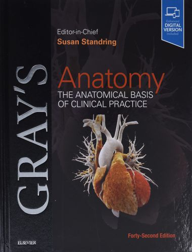 Gray's Anatomy - The Anatomical Basis of Clinical Practice 42th Edition