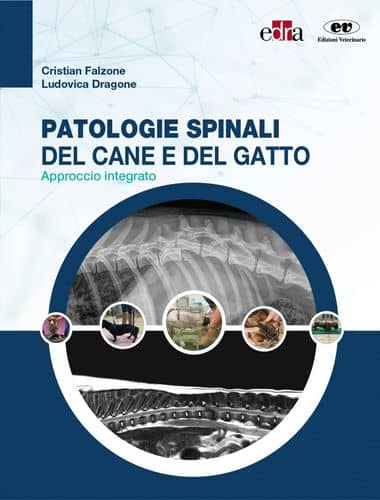 Patologie spinali del cane e del gatto Approccio integrato