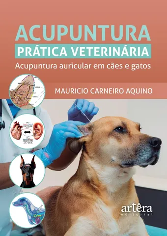 Diversity, Equity, and Inclusion in Veterinary Medicine